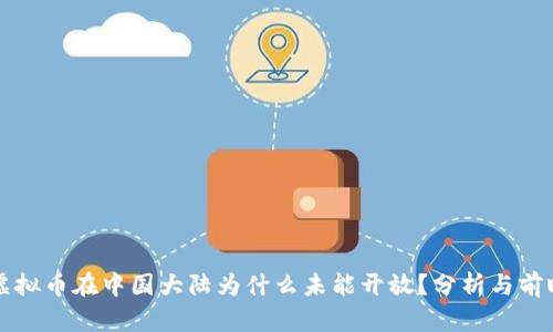 虚拟币在中国大陆为什么未能开放？分析与前瞻