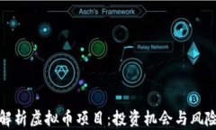全面解析虚拟币项目：投资机会与风险评估