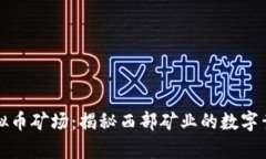 青海虚拟币矿场：揭秘西部矿业的数字黄金之路