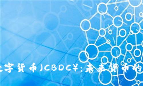 中央银行数字货币（CBDC）：未来货币的演变与潜力