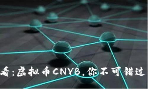  myself 
   2025必看：虚拟币CNYB，你不可错过的投资机会！