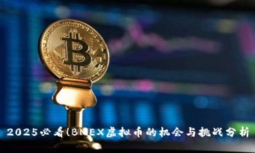 2025必看！BMEX虚拟币的机会与挑战分析