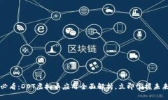 2025必看：DOT虚拟币应用全