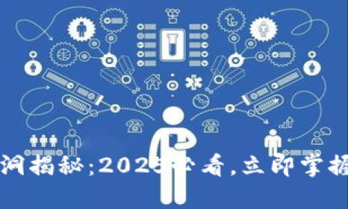 虚拟币合约漏洞揭秘：2025必看，立即掌握安全投资技巧