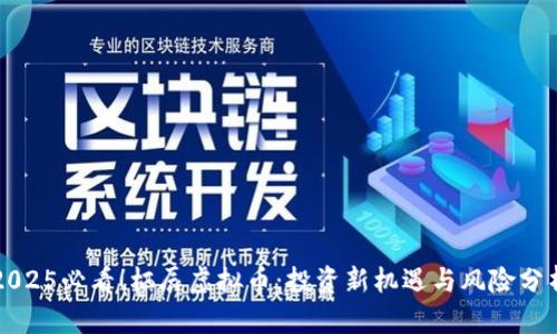 2025必看！栖辰虚拟币：投资新机遇与风险分析