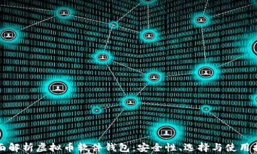 
全面解析虚拟币软件钱包：安全性、选择与使用指南