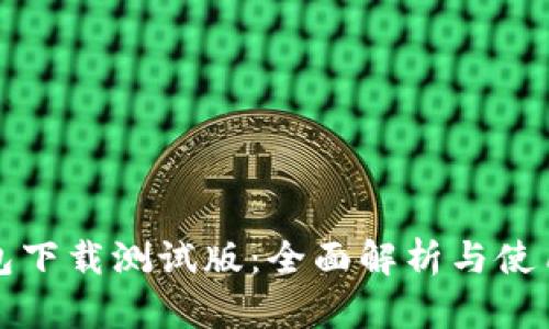 TP钱包下载测试版：全面解析与使用指南