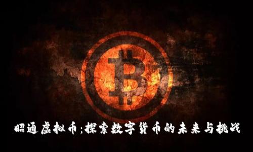 昭通虚拟币：探索数字货币的未来与挑战