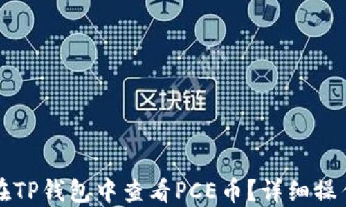 
如何在TP钱包中查看PCE币？详细操作指南