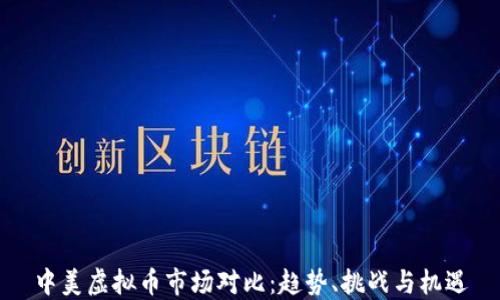
中美虚拟币市场对比：趋势、挑战与机遇