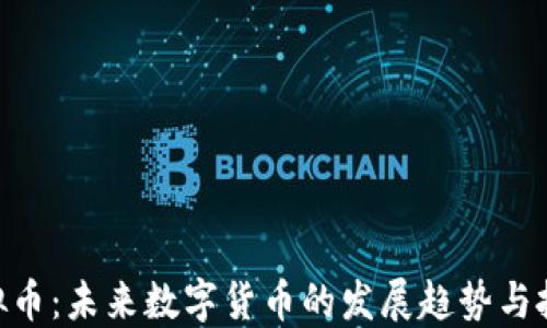 
XHS虚拟币：未来数字货币的发展趋势与投资指导